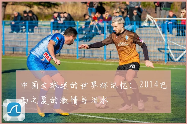 中国女球迷的世界杯记忆:2014巴西之夏的激情与泪水